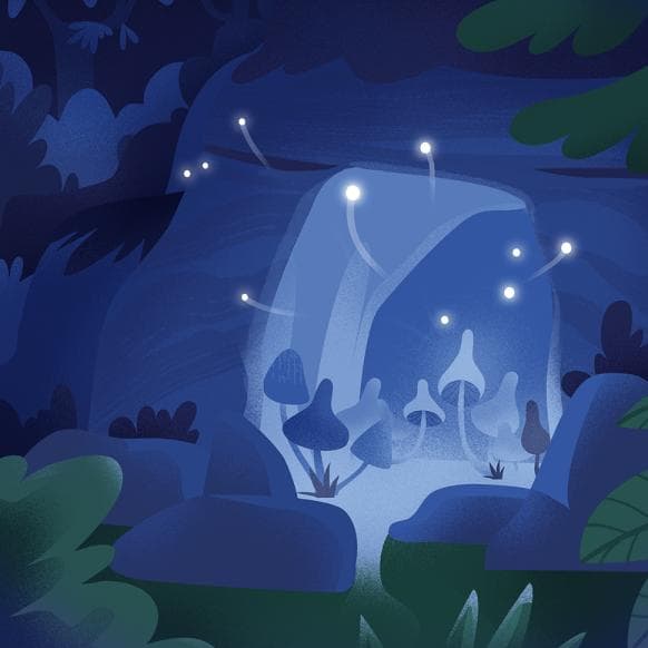 Глубокий лесной гипноз