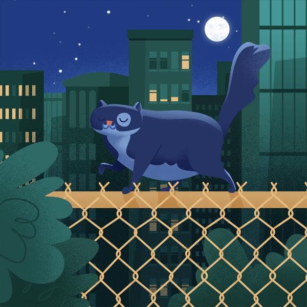 Домашний кот Гизмо