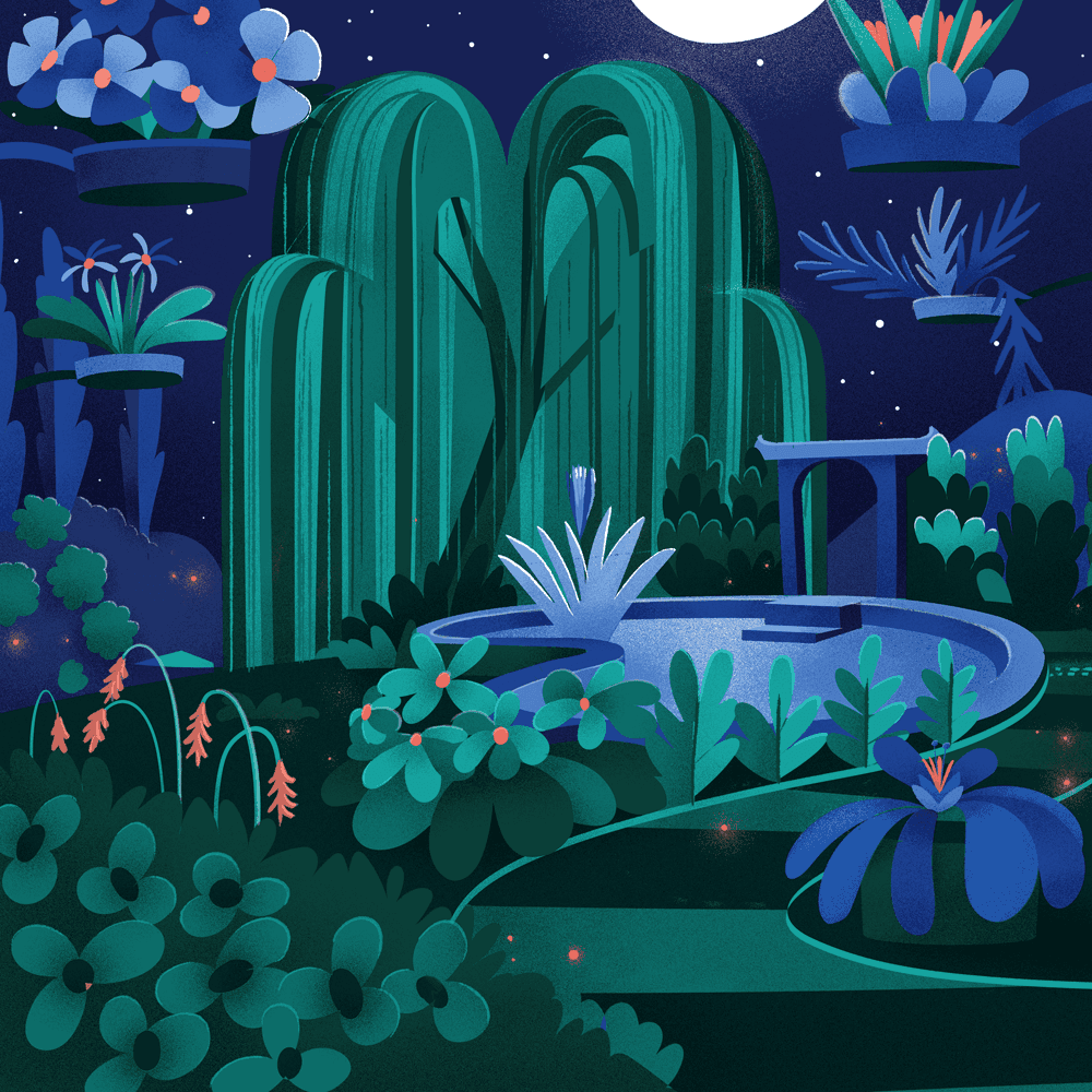 Into The Neon Garden