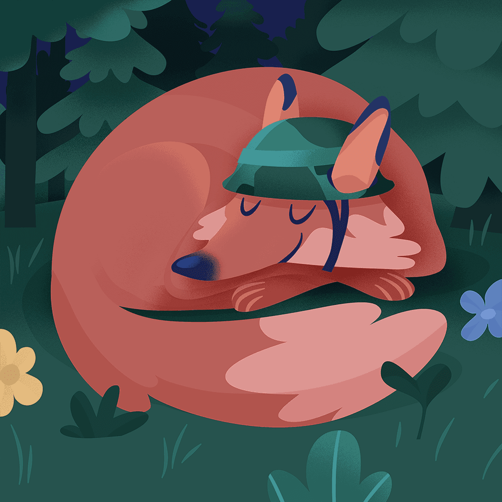 The Military Method for Sleep